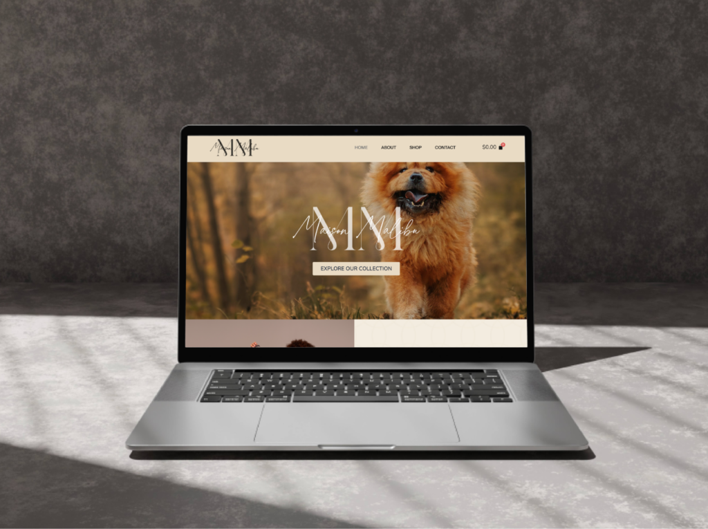 portfolio img 01 (1)